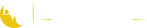 BWO Trial Lawyers White