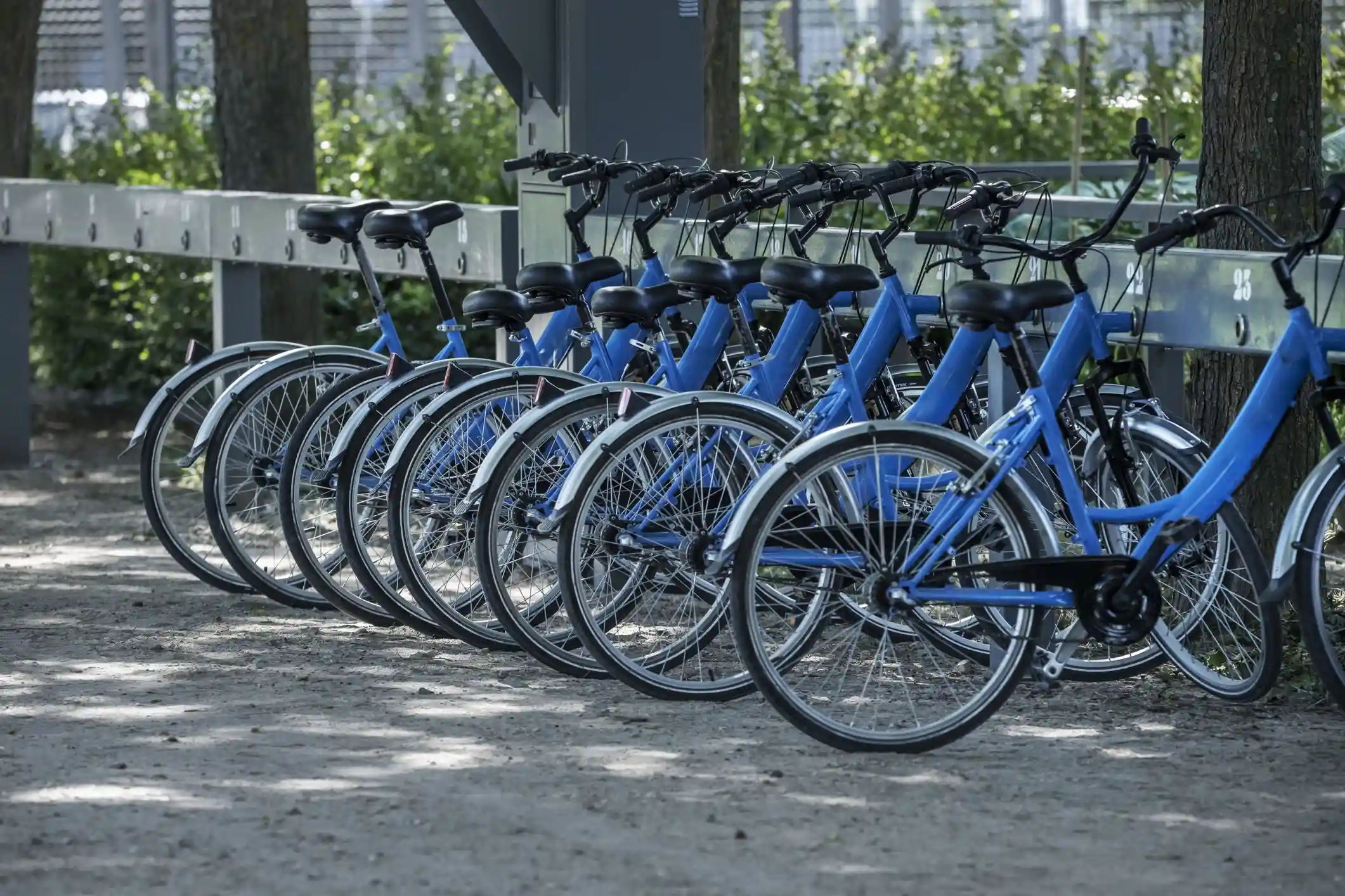 A bike rack in a city park with many blue bicycles parked.